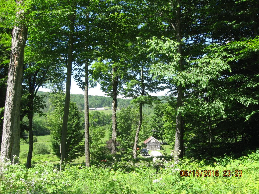 531 Butternut Hollow Road Enosburg Falls, VT 05450 - Photo 16 of 29 Gallery Image 16