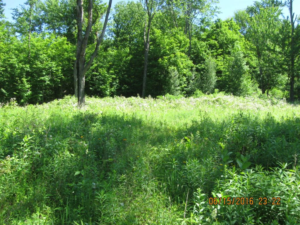 531 Butternut Hollow Road Enosburg Falls, VT 05450 - Photo 17 of 29 Gallery Image 17