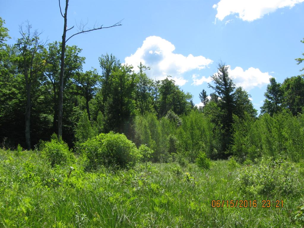 531 Butternut Hollow Road Enosburg Falls, VT 05450 - Photo 18 of 29 Gallery Image 18