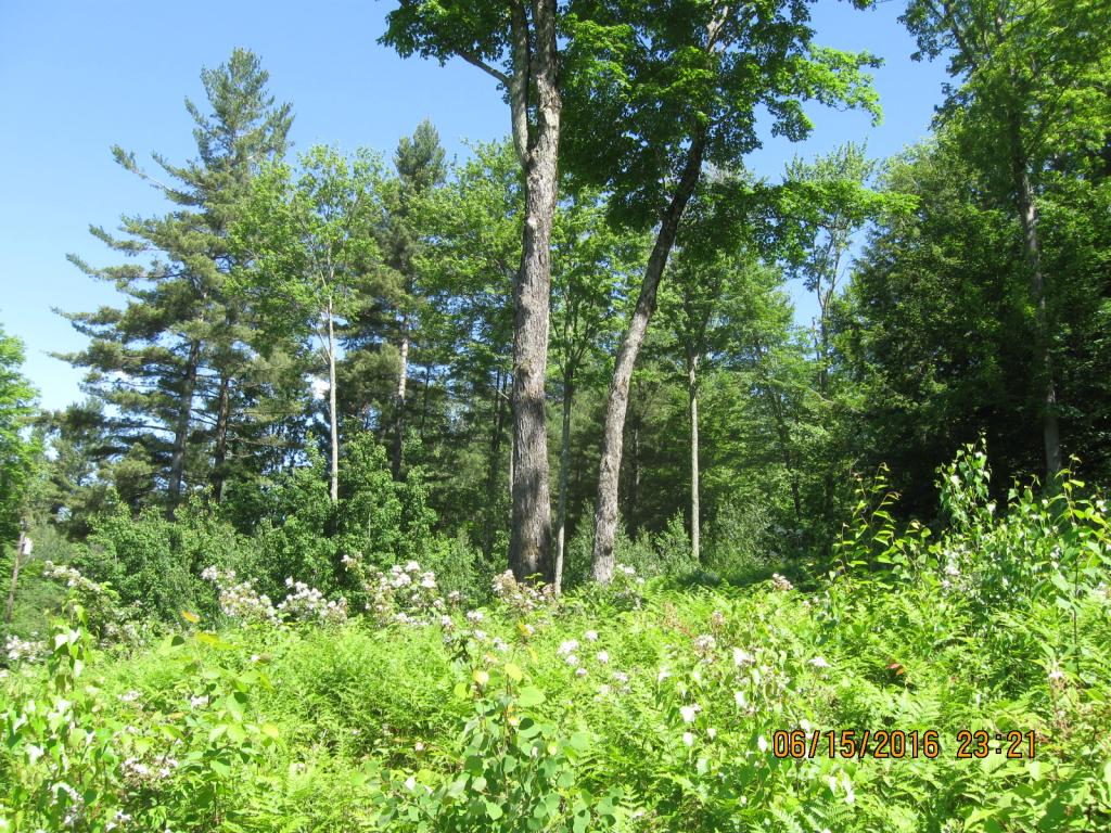 531 Butternut Hollow Road Enosburg Falls, VT 05450 - Photo 19 of 29 Gallery Image 19