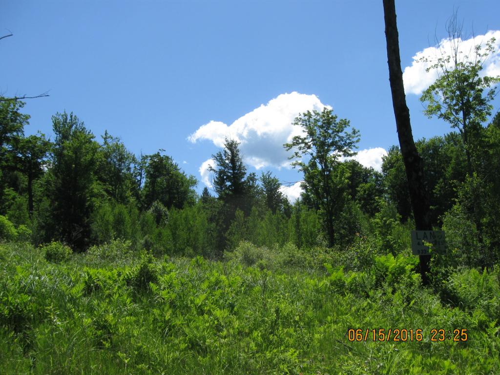 531 Butternut Hollow Road Enosburg Falls, VT 05450 - Photo 3 of 29 Gallery Image 3