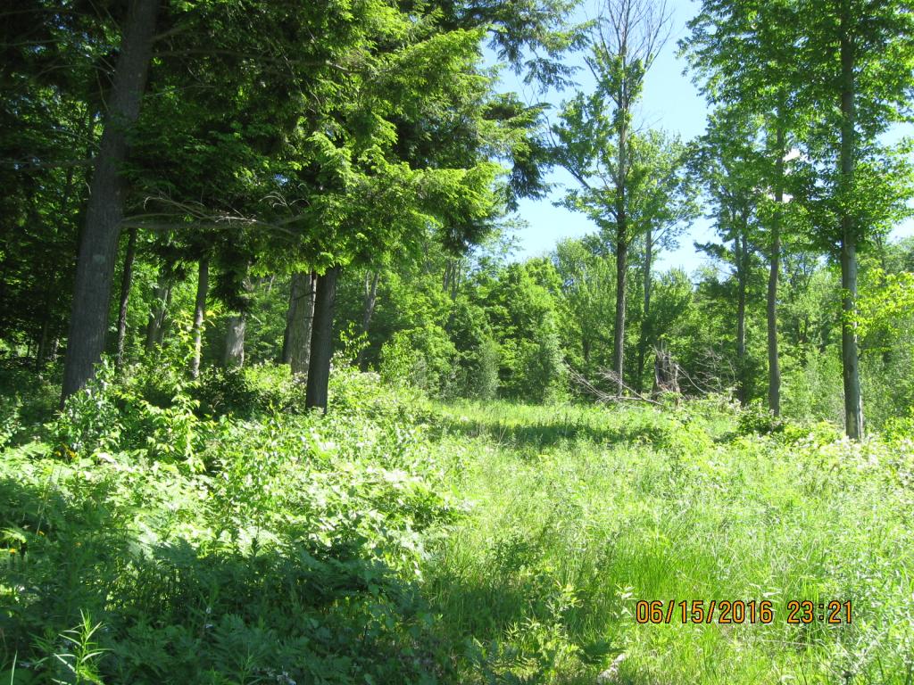 531 Butternut Hollow Road Enosburg Falls, VT 05450 - Photo 21 of 29 Gallery Image 21
