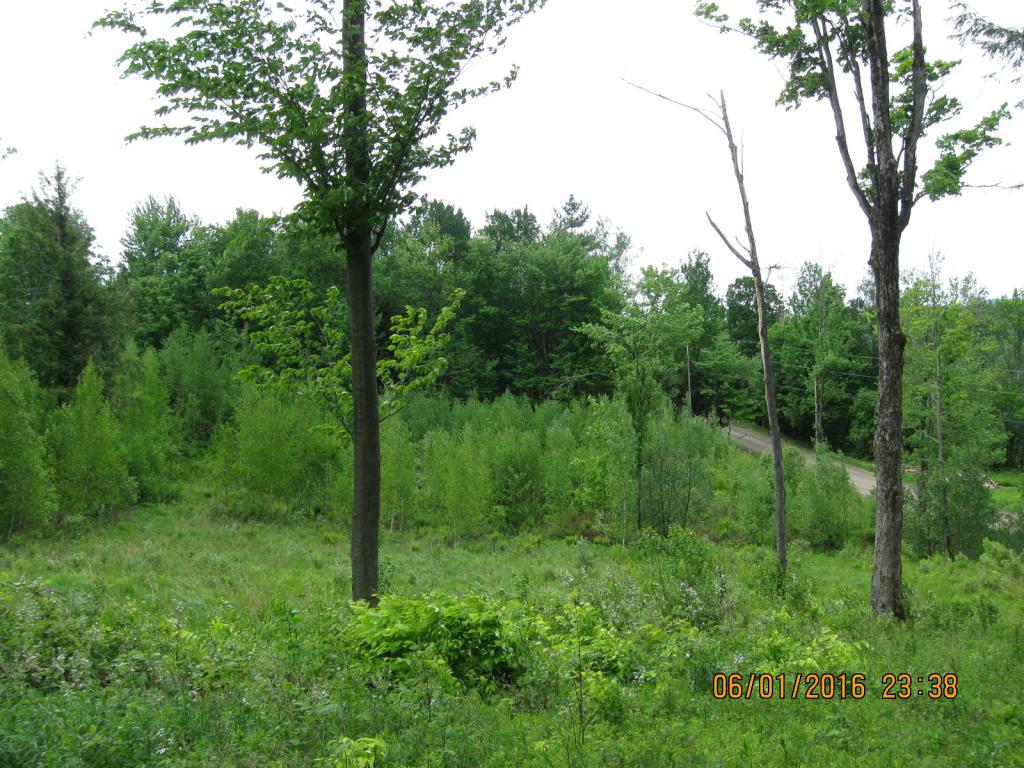 531 Butternut Hollow Road Enosburg Falls, VT 05450 - Photo 24 of 29 Gallery Image 24