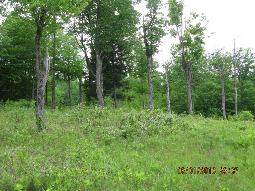 531 Butternut Hollow Road Enosburg Falls, VT 05450 - Photo 26 of 29 Gallery Image 26
