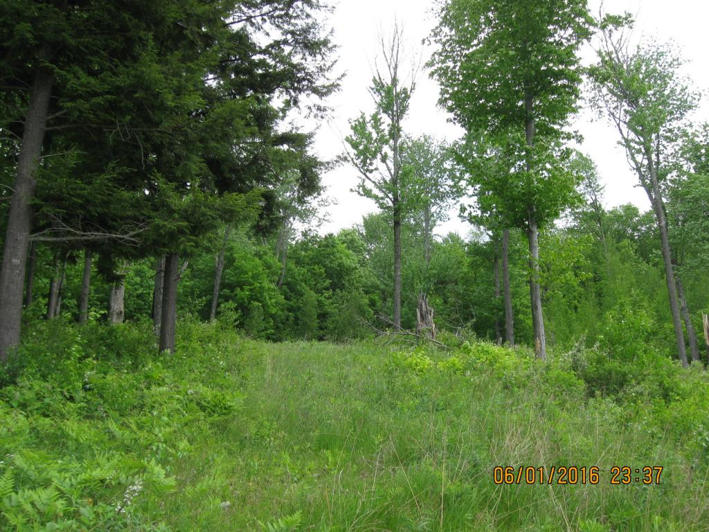 531 Butternut Hollow Road Enosburg Falls, VT 05450 - Photo 28 of 29 Gallery Image 28