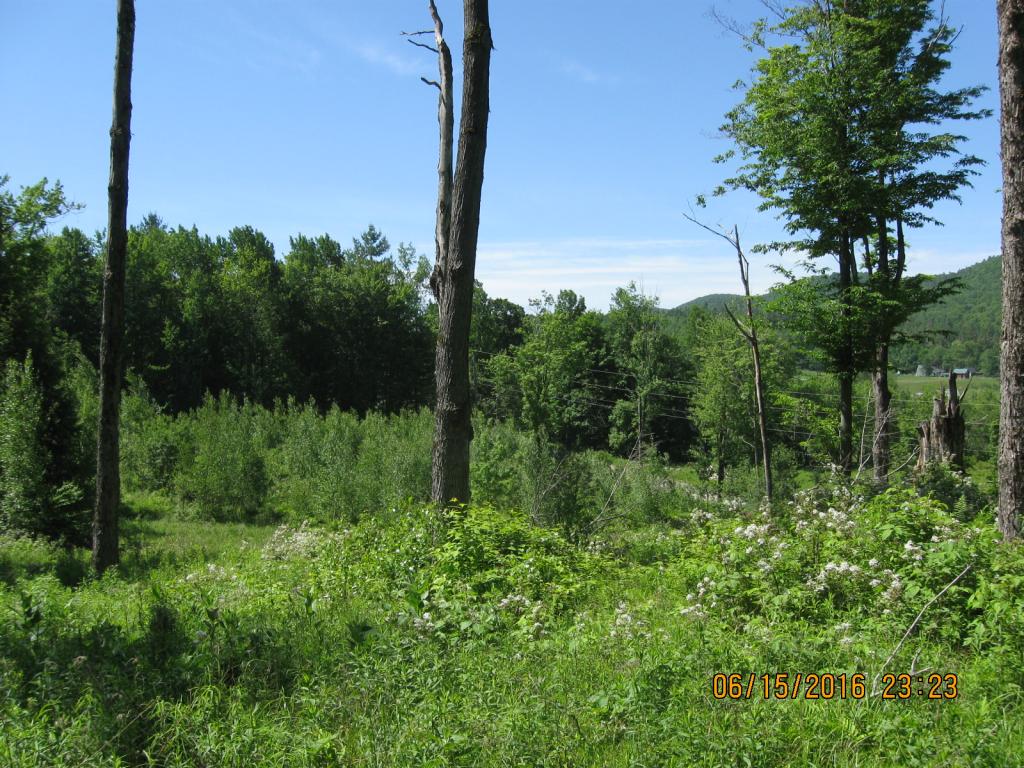 531 Butternut Hollow Road Enosburg Falls, VT 05450 - Photo 7 of 29 Gallery Image 7