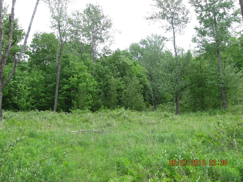 531 Butternut Hollow Road Enosburg Falls, VT 05450 - Photo 10 of 29 Gallery Image 10