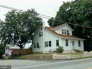 a view of a white house with a large tree and plants