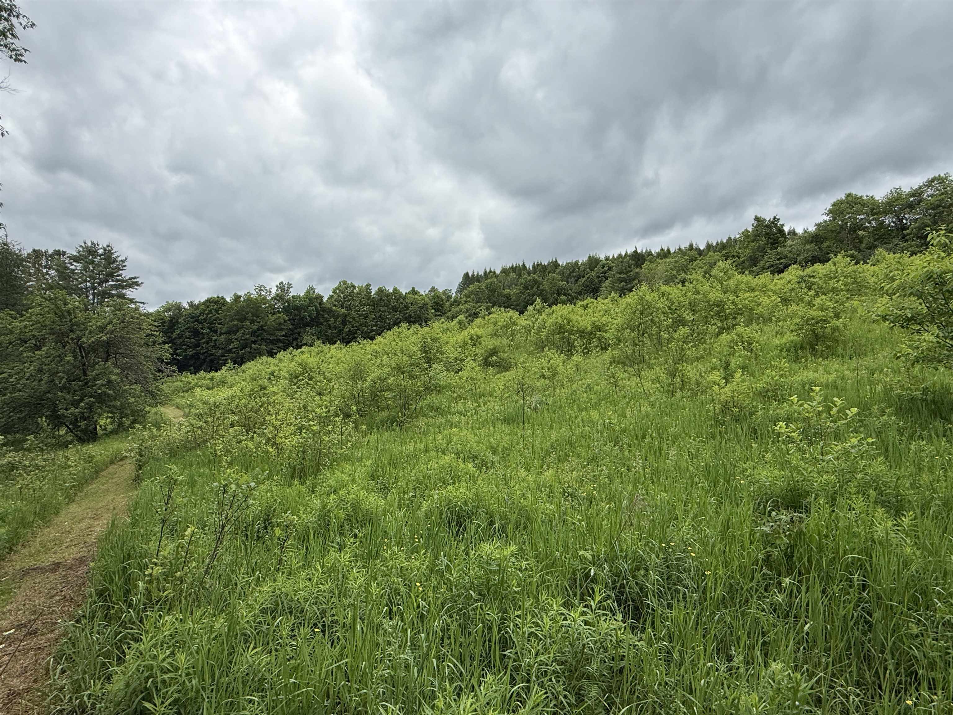 2650 Tampico Road Danville, VT 05828 - Photo 52 of 60