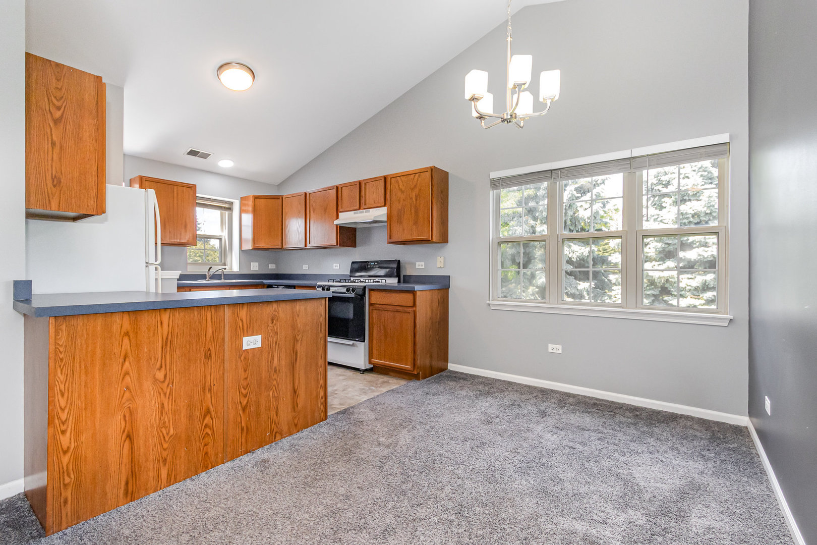 2211 Waterleaf Court, Unit 204 Naperville, IL 60564 - Photo 4 of 17 a kitchen with stainless steel appliances granite countertop a stove a sink dishwasher and a refrigerator