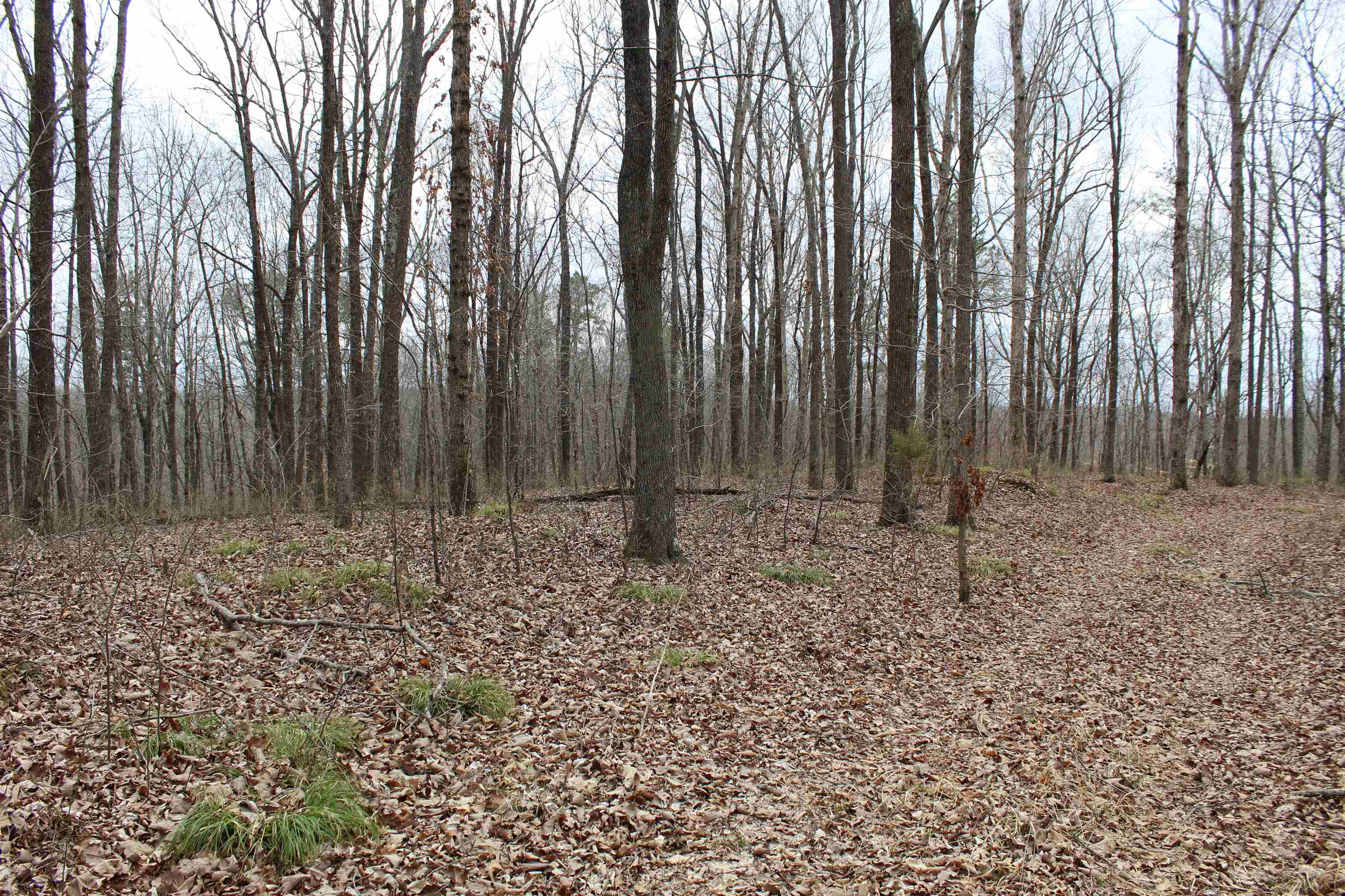 3482 Waterfall Creek Road Collinwood, TN 38450 - Photo 12 of 40