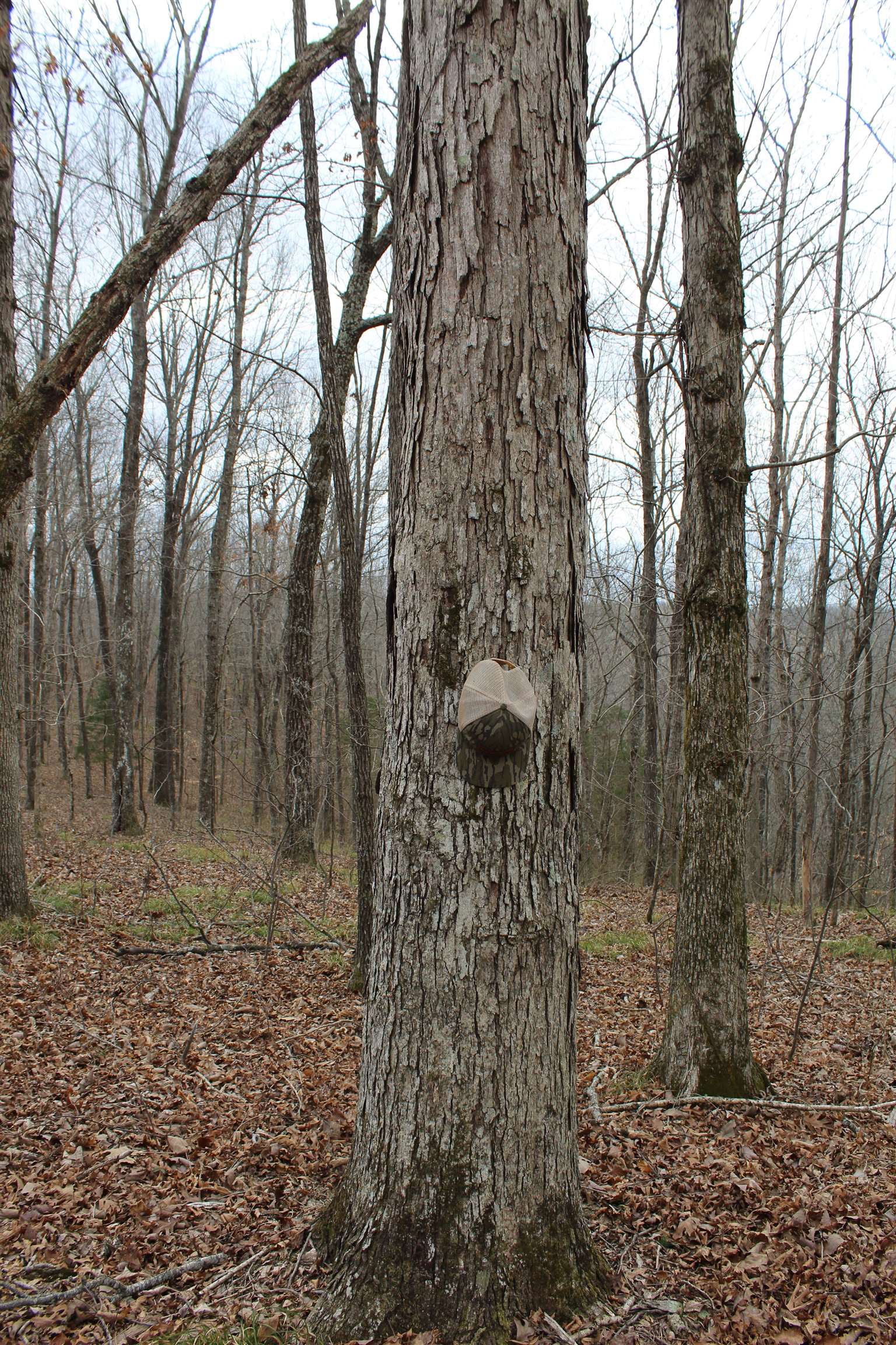 3482 Waterfall Creek Road Collinwood, TN 38450 - Photo 14 of 40