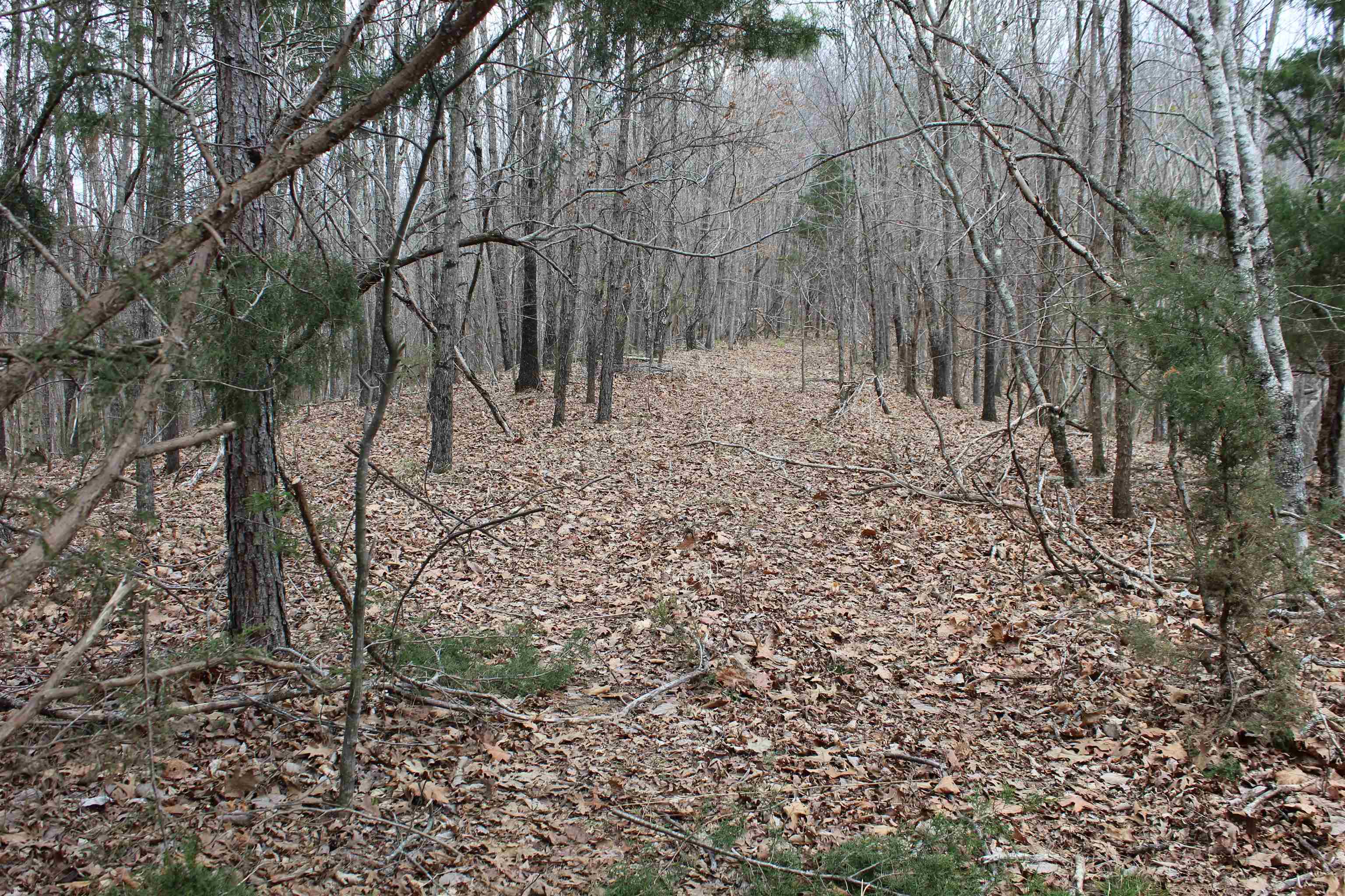 3482 Waterfall Creek Road Collinwood, TN 38450 - Photo 16 of 40