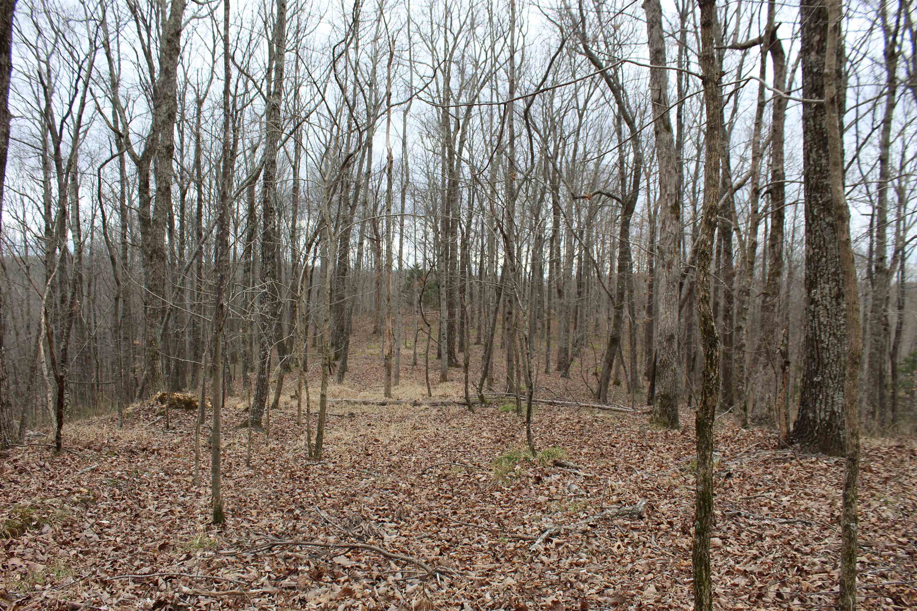 3482 Waterfall Creek Road Collinwood, TN 38450 - Photo 19 of 40