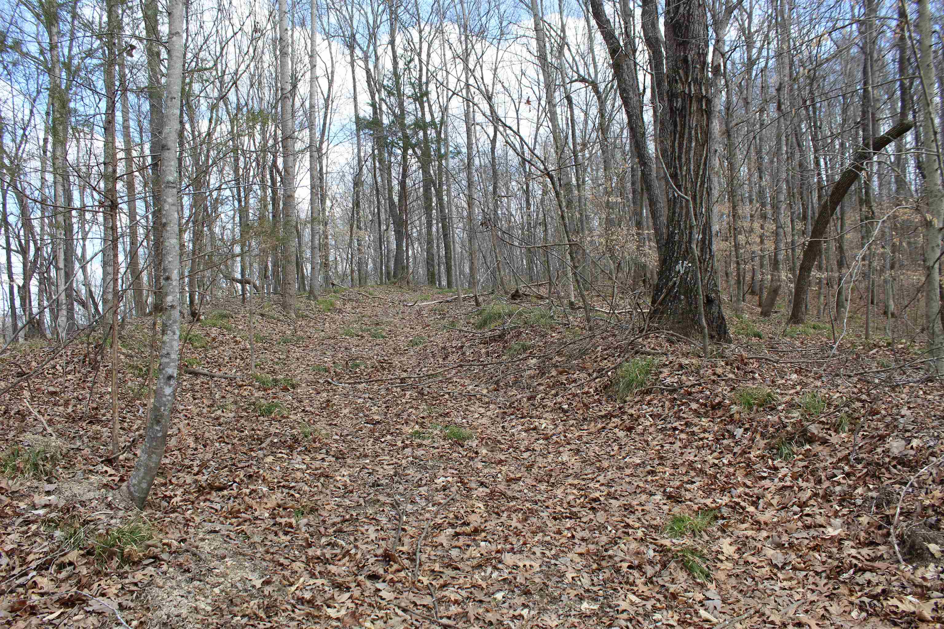 3482 Waterfall Creek Road Collinwood, TN 38450 - Photo 2 of 40