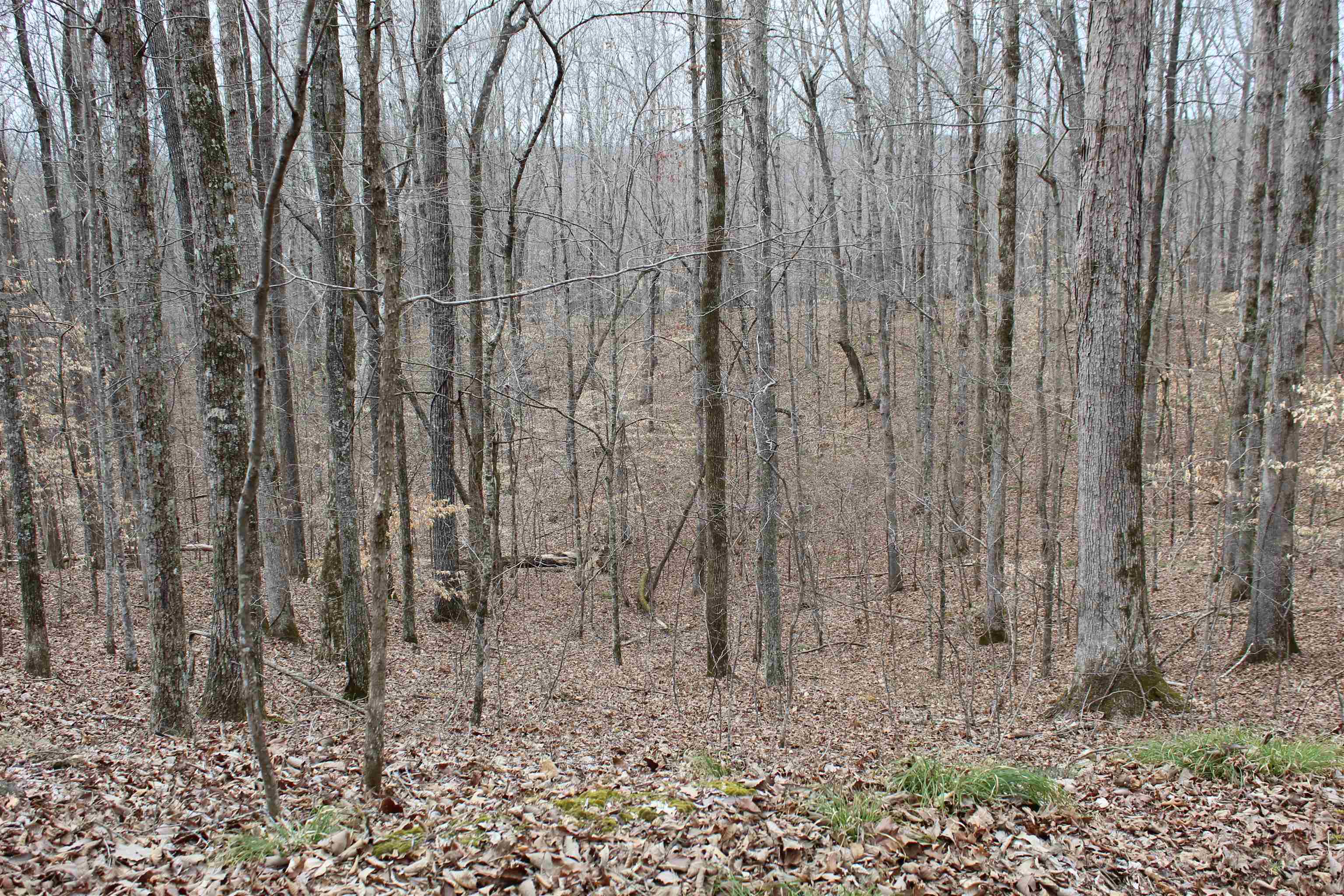 3482 Waterfall Creek Road Collinwood, TN 38450 - Photo 24 of 40