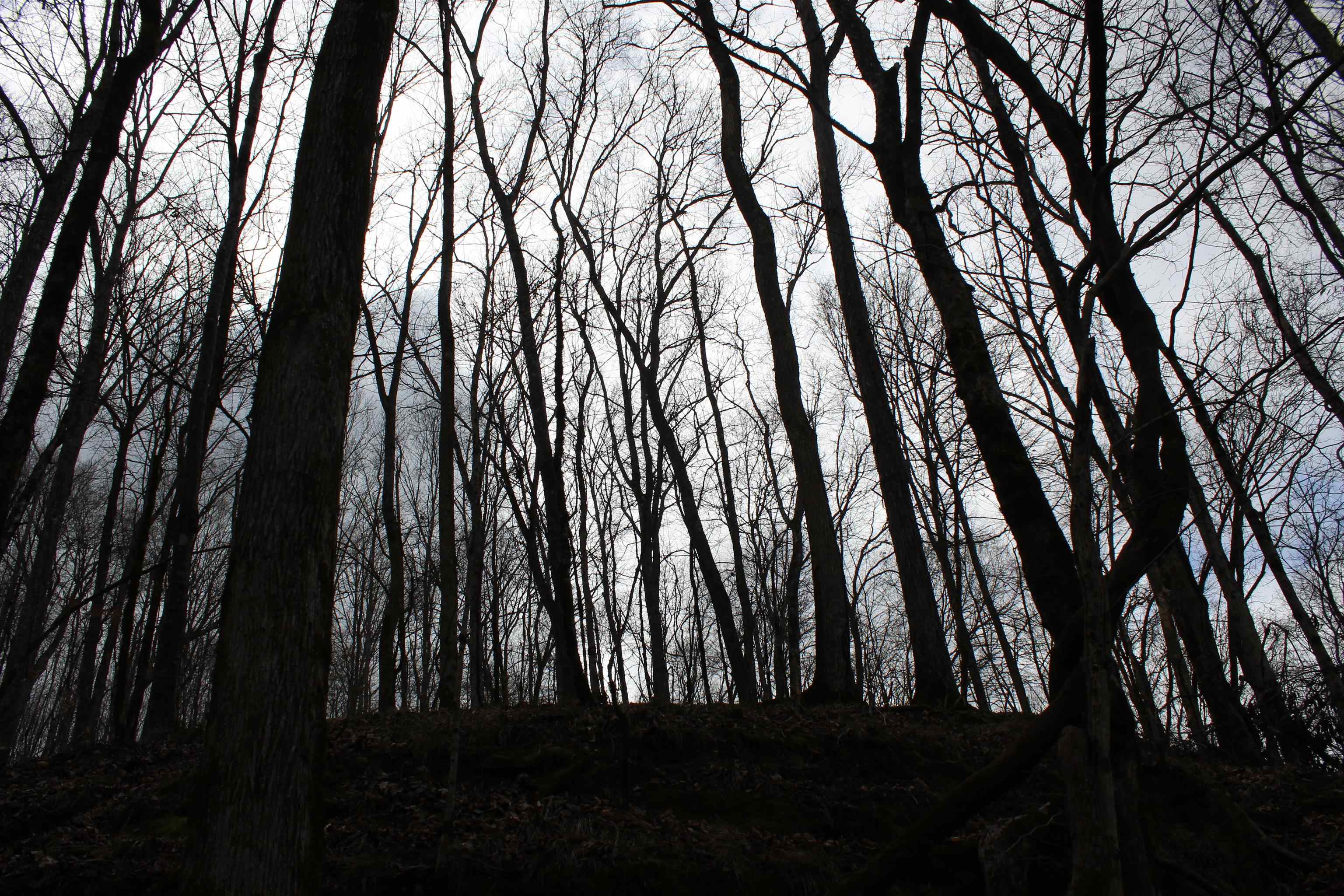 3482 Waterfall Creek Road Collinwood, TN 38450 - Photo 25 of 40