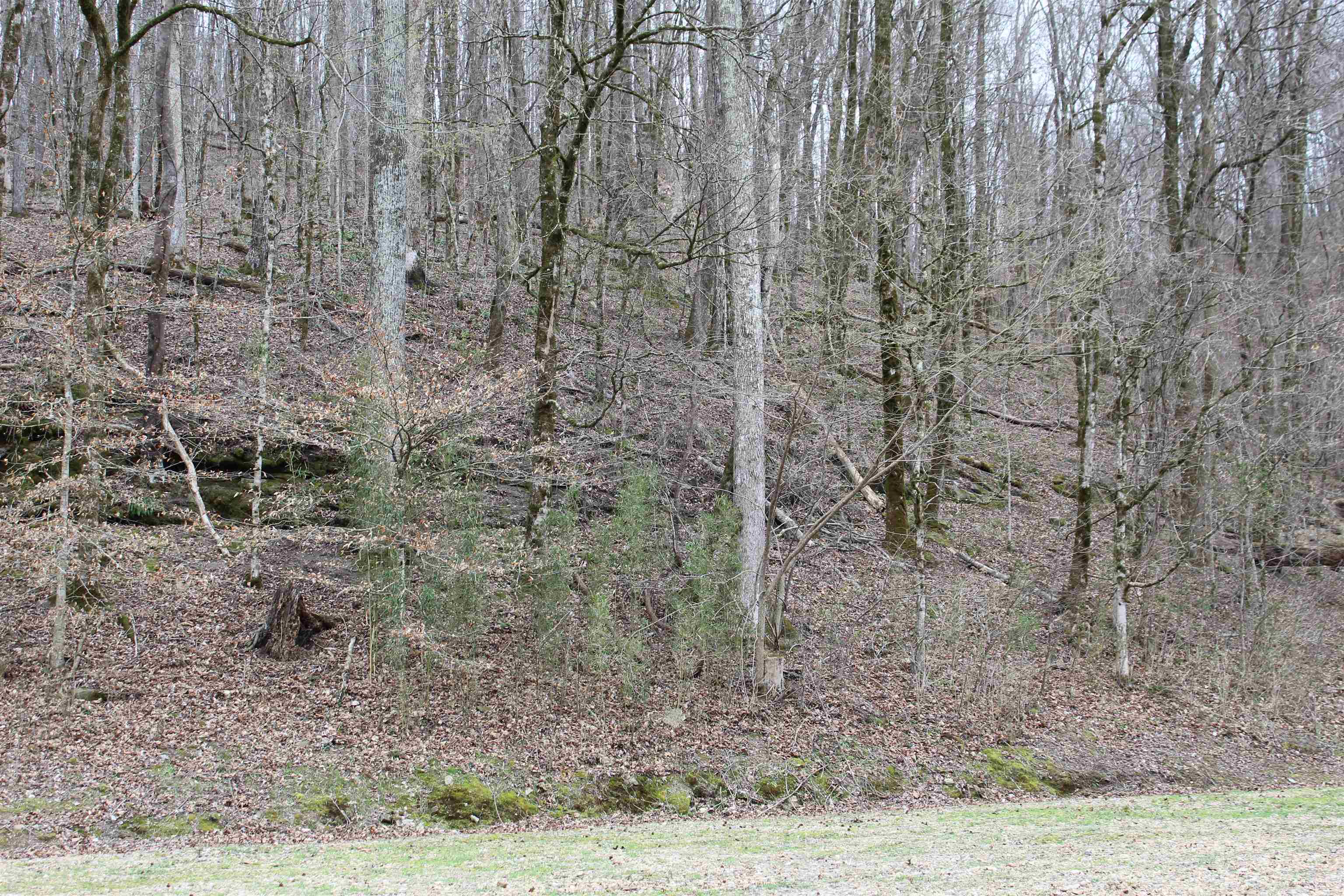 3482 Waterfall Creek Road Collinwood, TN 38450 - Photo 28 of 40