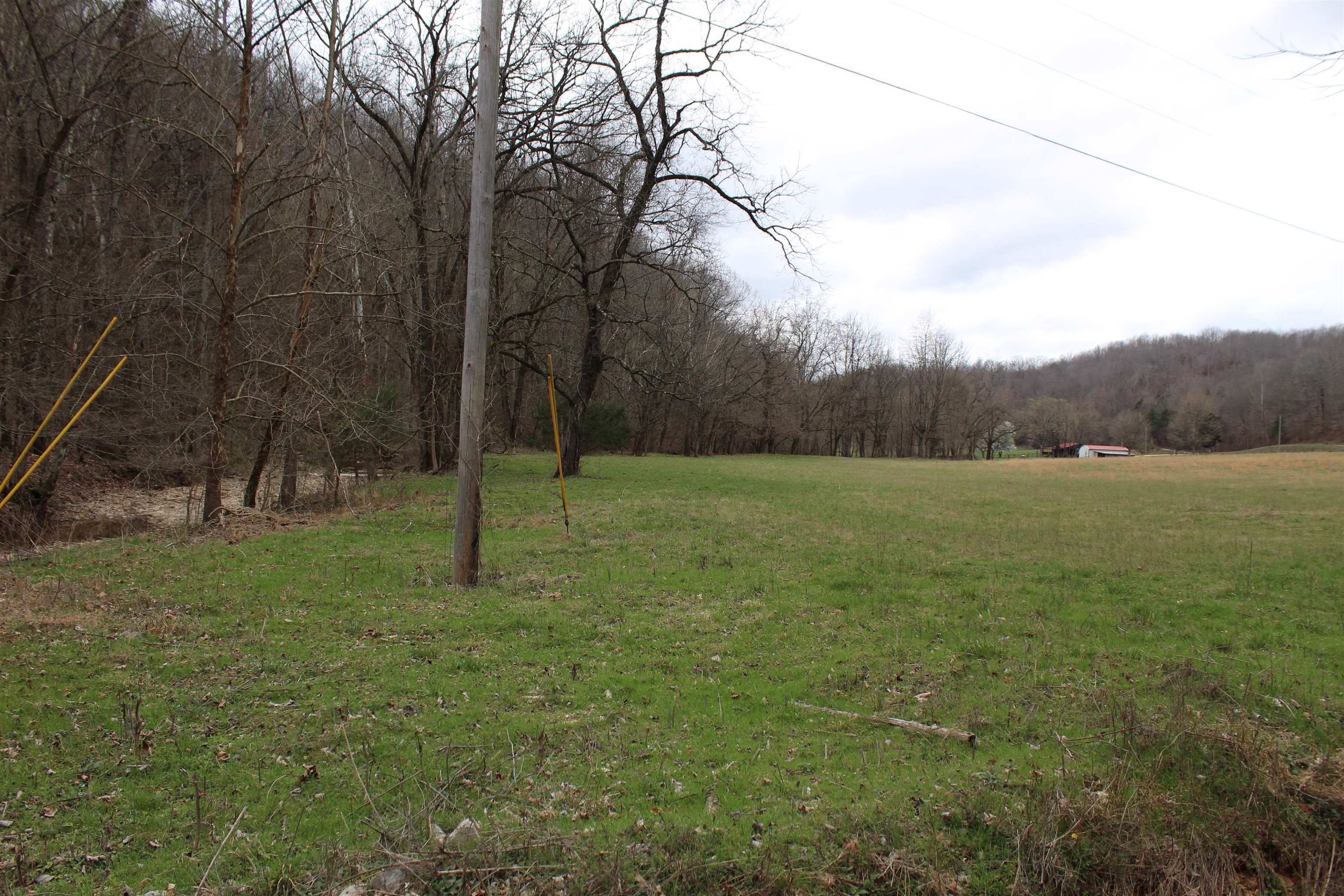 3482 Waterfall Creek Road Collinwood, TN 38450 - Photo 29 of 40