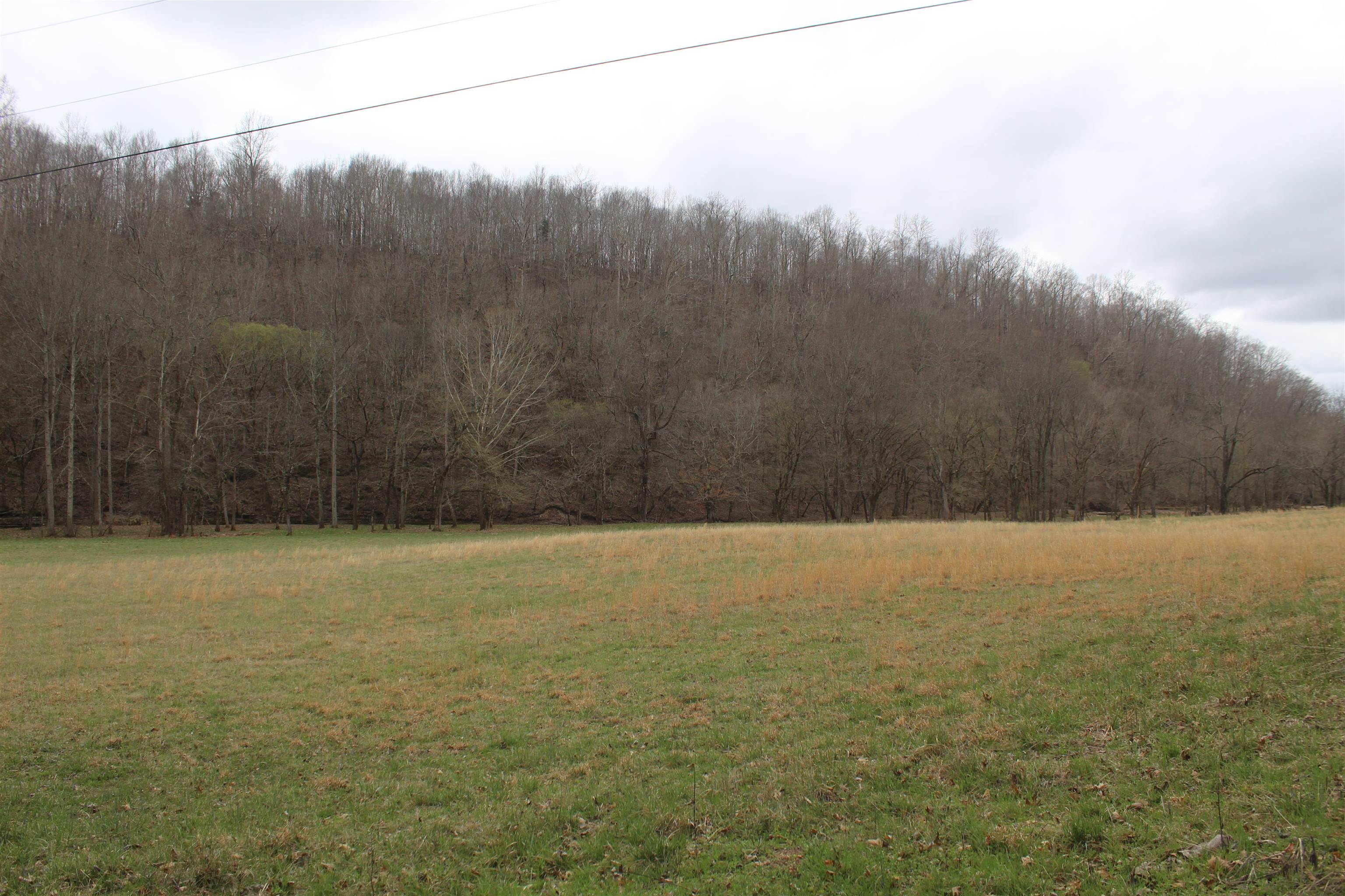 3482 Waterfall Creek Road Collinwood, TN 38450 - Photo 30 of 40