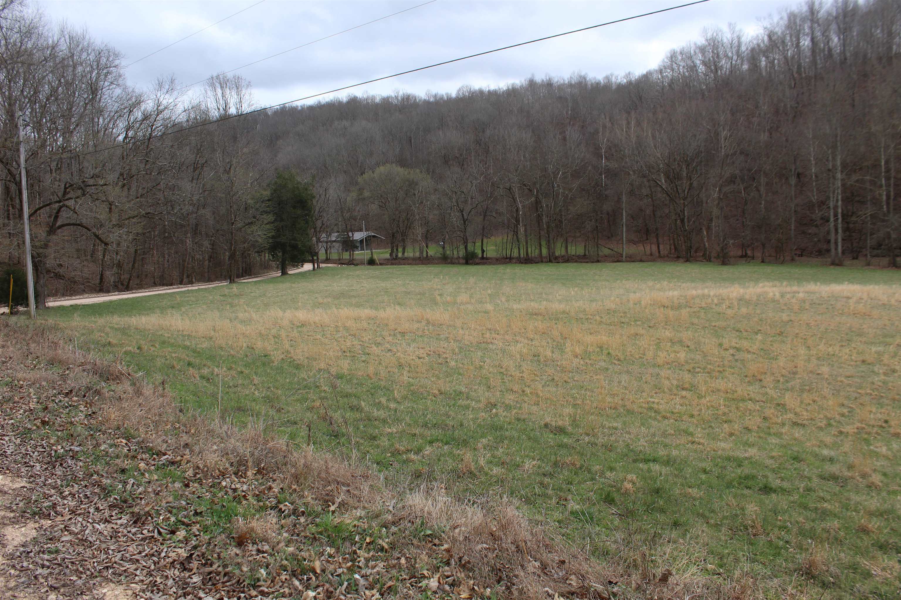 3482 Waterfall Creek Road Collinwood, TN 38450 - Photo 31 of 40