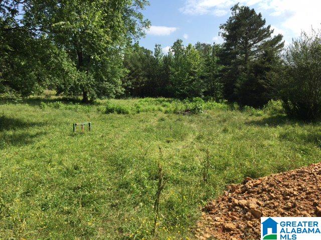 37-acres Joy Road, Unit 37 ACRES Hayden, AL 35079 - Photo 2 of 17