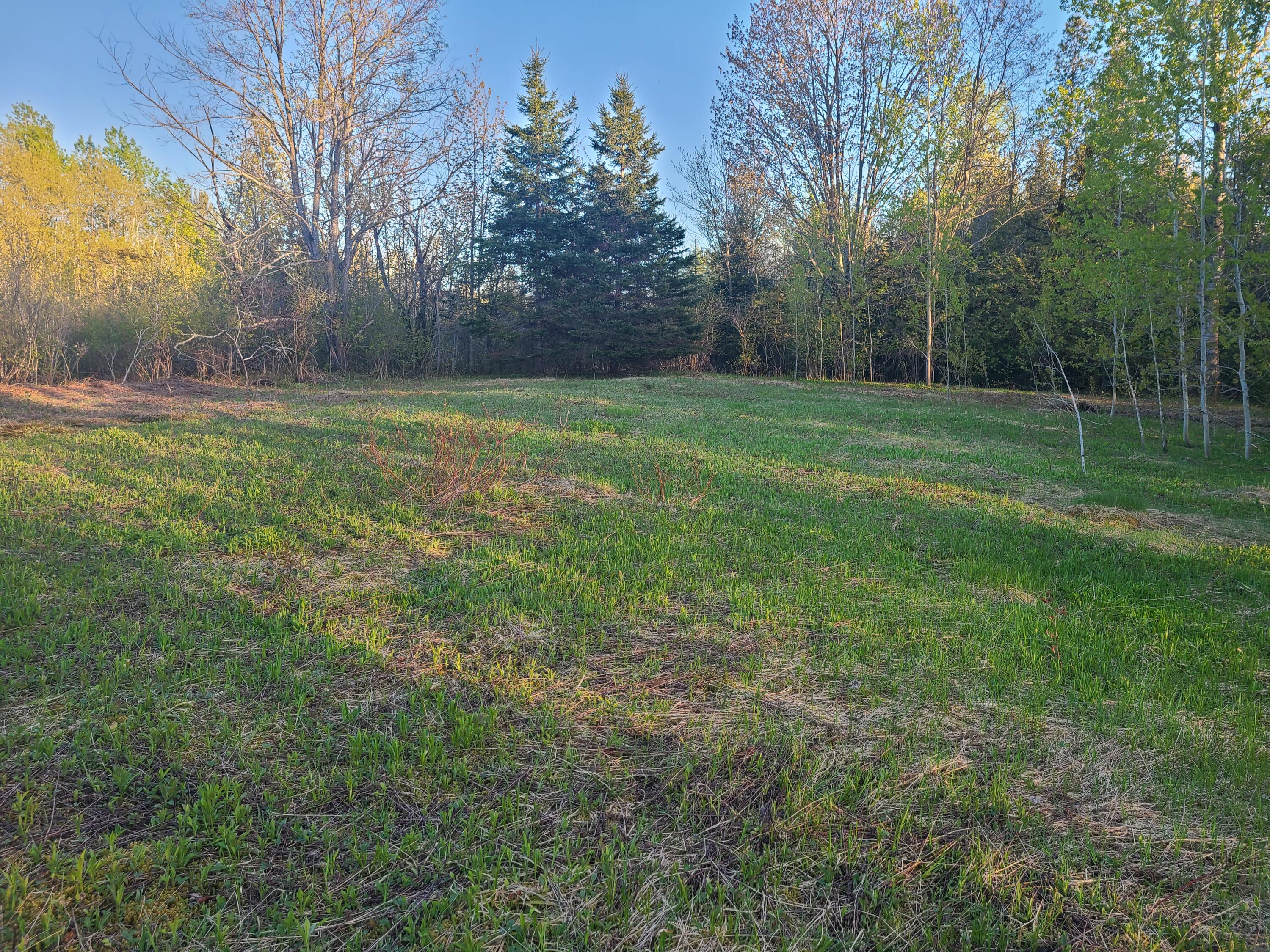 1638 Highway 1 Littleton, ME 04730 - Photo 7 of 20 20230518_185831