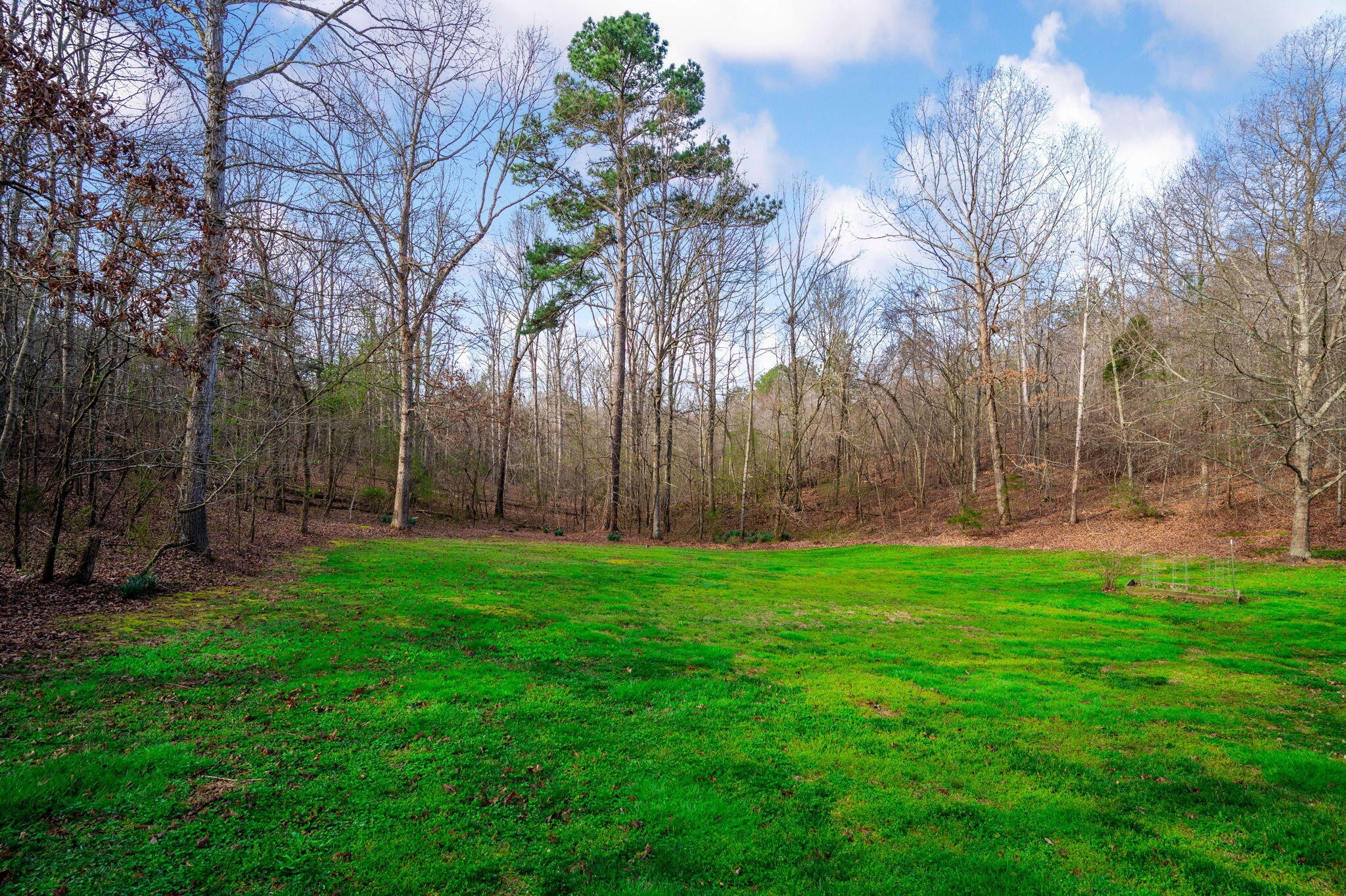 153 Nix Road Dunlap, TN 37327 - Photo 59 of 61 a backyard of a house with lots of green space