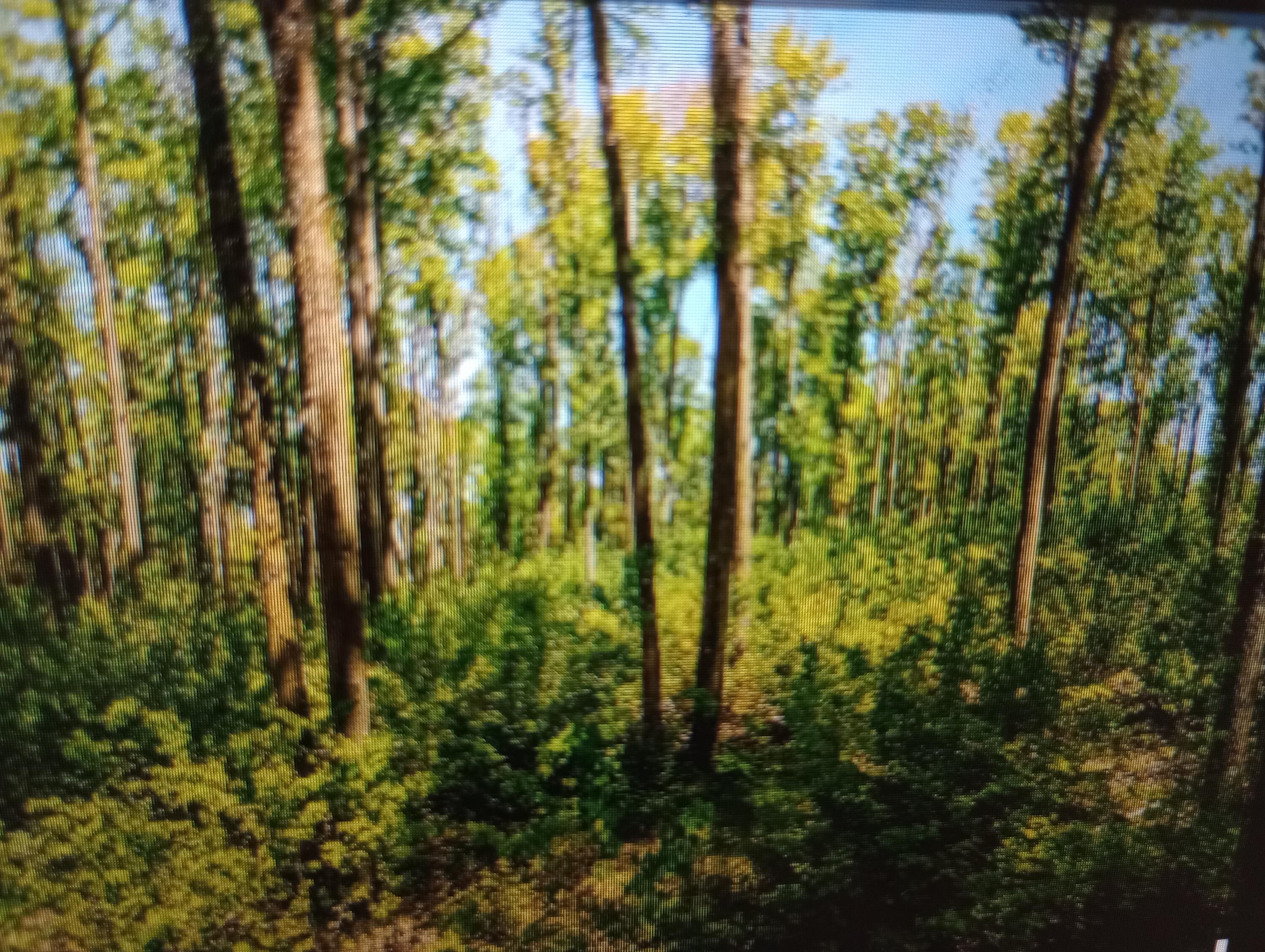 Nhn Arbor Oak Road Harrison, MI 48625 - Photo 3 of 3 Gallery Image 3