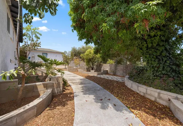 a view of a yard with plants and trees