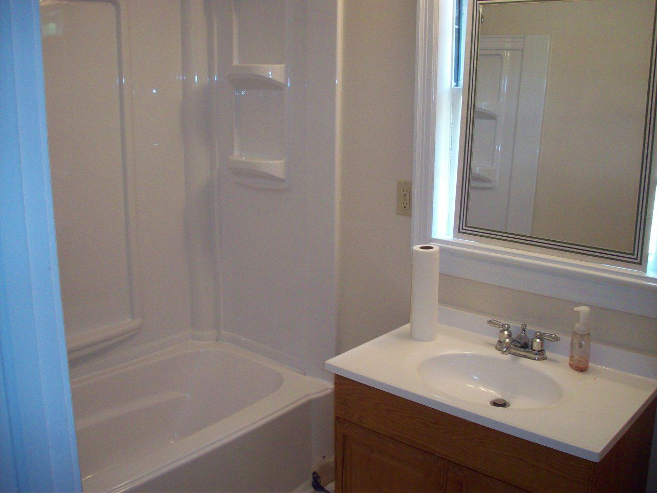 1609 Riverside Terrace Southeast Roanoke, VA 24014 - Photo 3 of 6 a bathroom with a sink and a bathtub