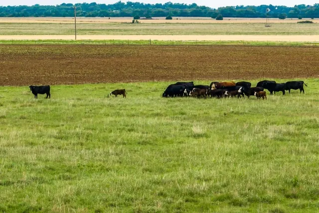 $599,900 | 13522 Southeast 180 Street, Norwich, KS 67118