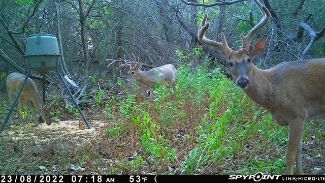 $599,900 | 13522 Southeast 180 Street, Norwich, KS 67118