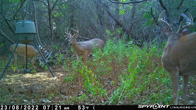 $599,900 | 13522 Southeast 180 Street, Norwich, KS 67118