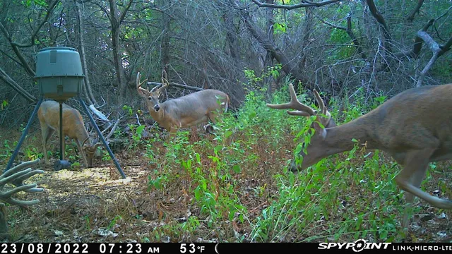 $599,900 | 13522 Southeast 180 Street, Norwich, KS 67118