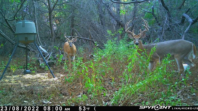 $599,900 | 13522 Southeast 180 Street, Norwich, KS 67118