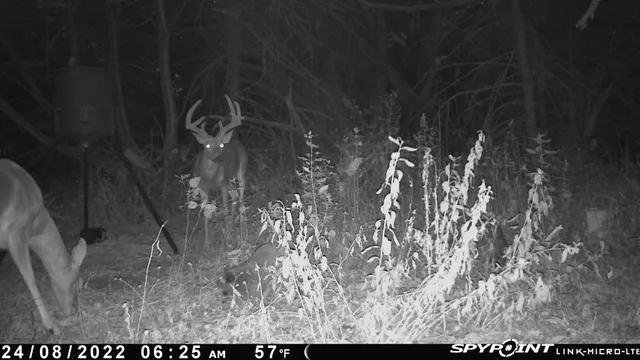 $599,900 | 13522 Southeast 180 Street, Norwich, KS 67118