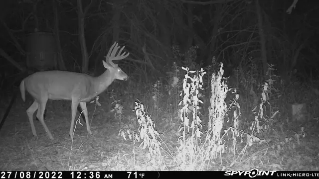 $599,900 | 13522 Southeast 180 Street, Norwich, KS 67118