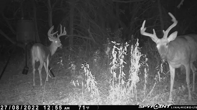 $599,900 | 13522 Southeast 180 Street, Norwich, KS 67118