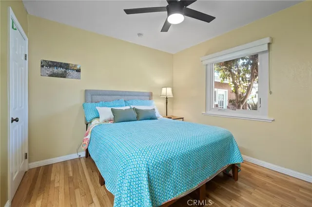 a view of a backyard with a garden and plants