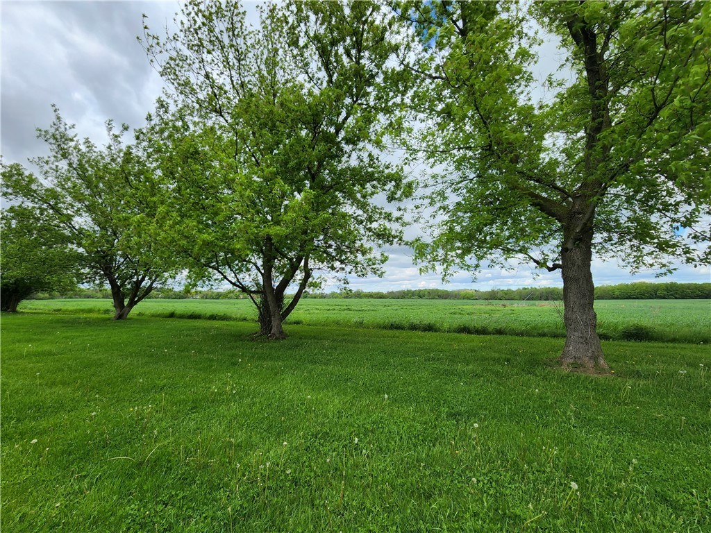 55 Greenlea Road Mendon, NY 14472 - Photo 18 of 18