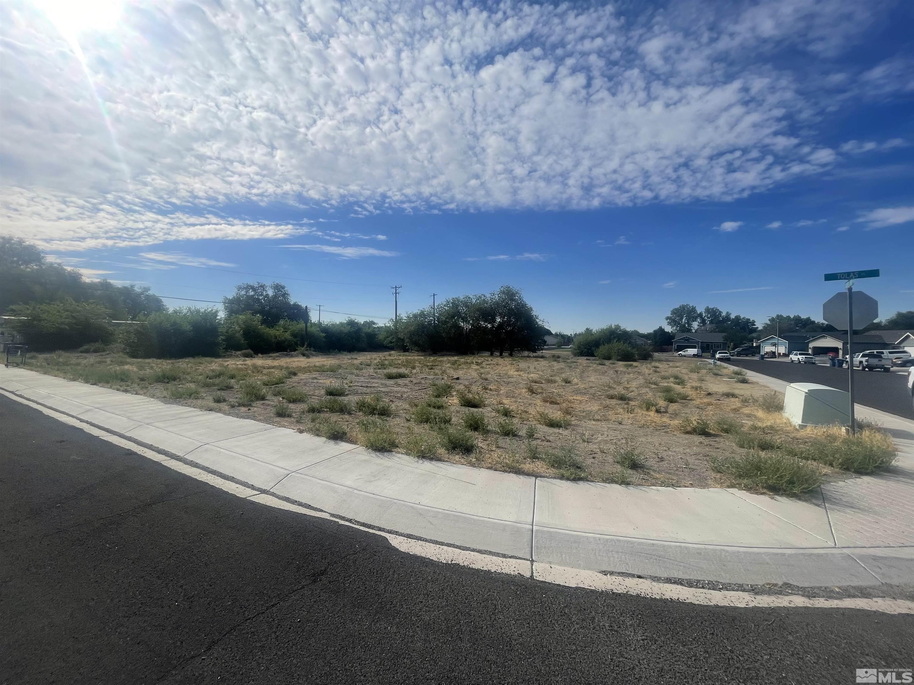 321 Silver Spur Drive Fallon, NV 89406 - Photo 3 of 3 a view of a yard with an ocean