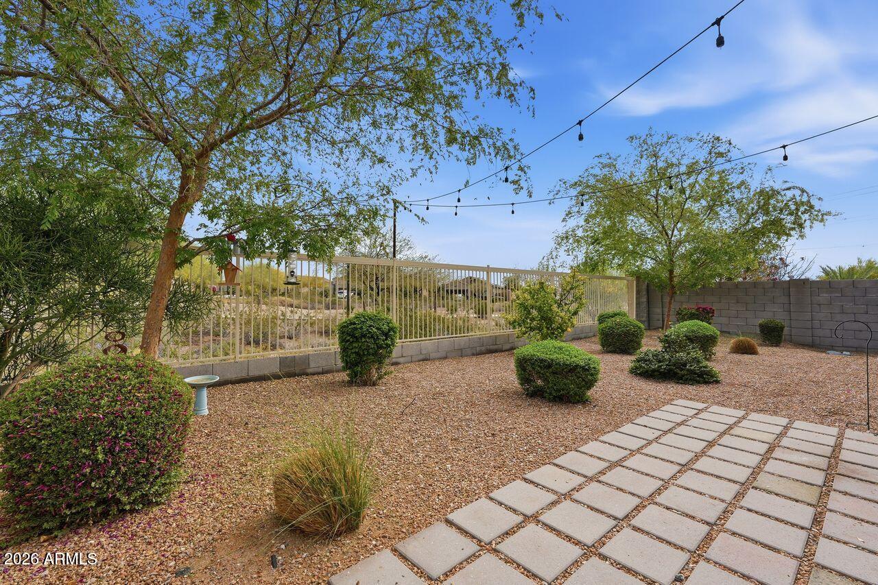 23602 West Ripple Road Buckeye, AZ 85326 - Photo 35 of 38 a view of a backyard with potted plants and large trees