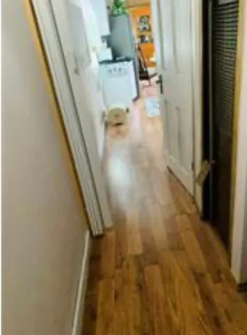 $124,900 | 245 Manton Street, Pawtucket, RI 02861