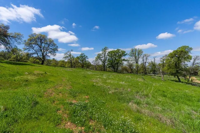 a view of a grassy field with trees in the background