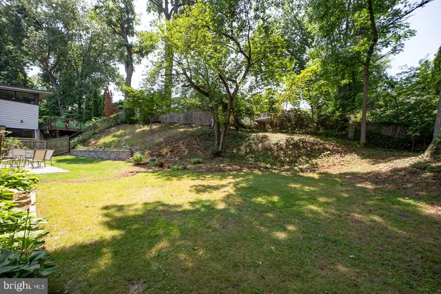 a view of a yard with trees