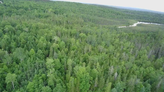 $285,000 | 252 Blaine Avenue, Guilford, ME 04443