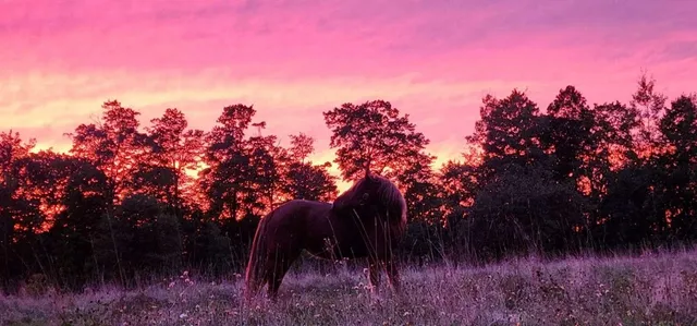 $285,000 | 252 Blaine Avenue, Guilford, ME 04443