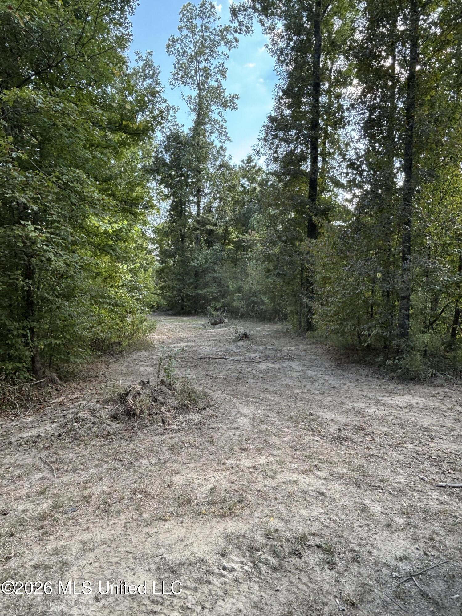 Tinsley Road Bentonia, MS 39040 - Photo 12 of 36 IMG_1443