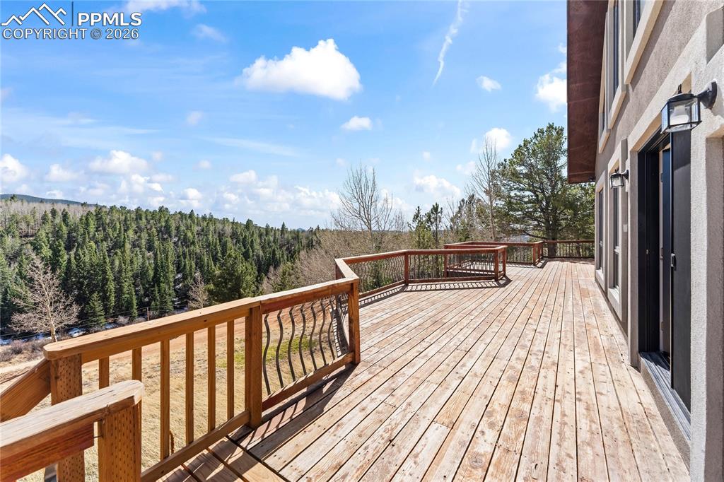1008 Cantiberry Road Divide, CO 80814 - Photo 27 of 37